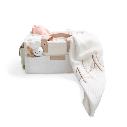 Teddy Nappy Caddy Organiser