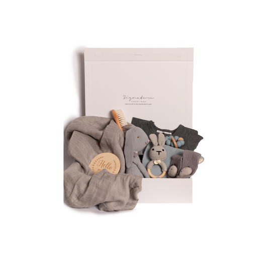 Deluxe Baby Gift Box - Boy